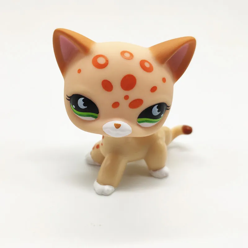 Lps Pet Shop игрушка короткошерстная полоса Кот кокер спаниель Great Dane Lps фигурка классический подарок косплей лучший РЕДКИЙ - Цвет: 12