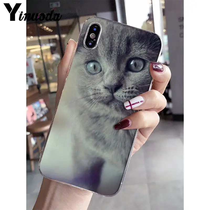 A16 Yinuoda Британский короткошерстный Кот поделка-чехол для телефона для iPhone 5 5Sx 6 7plus 8 8Plus X XS MAX XR Fundas Capa - Цвет: A16