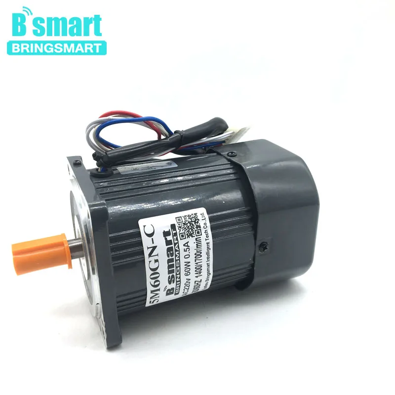 Bringsmart 5M60GN-CC 220V 60 Вт моторный накопитель переменного тока небольшого машинного оборудования высокого Скорость производительный электромотор переменного тока Регулируемый Скорость мотор