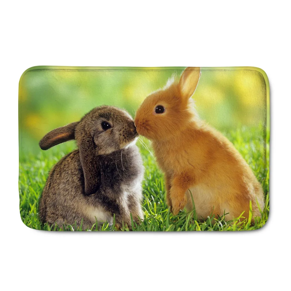 

Cute Rabbit Print Doormat for Entrance Way Outdoor Indoor Dustproof Absorption Shoe Pad Welcome Floor Door Mat Living Room Mats