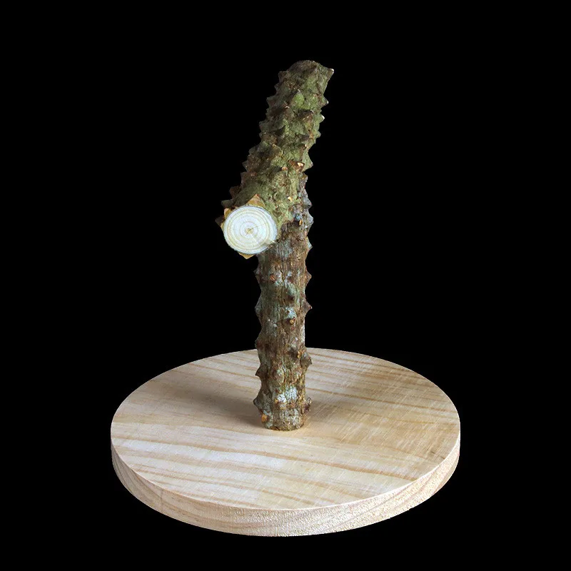 1 шт. ПЭТ Птица Попугай деревянная платформа стойка игрушка хомяк ветка perches для