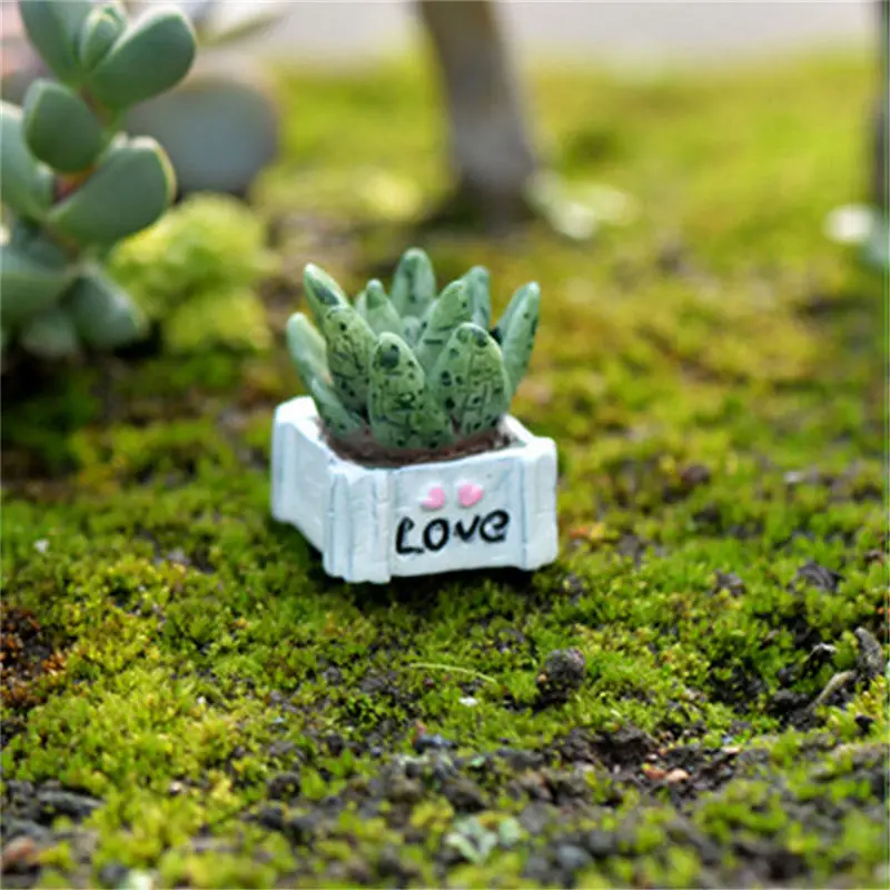 1 шт. горячая Распродажа любовь комнатного растения Украшение мох для поделок