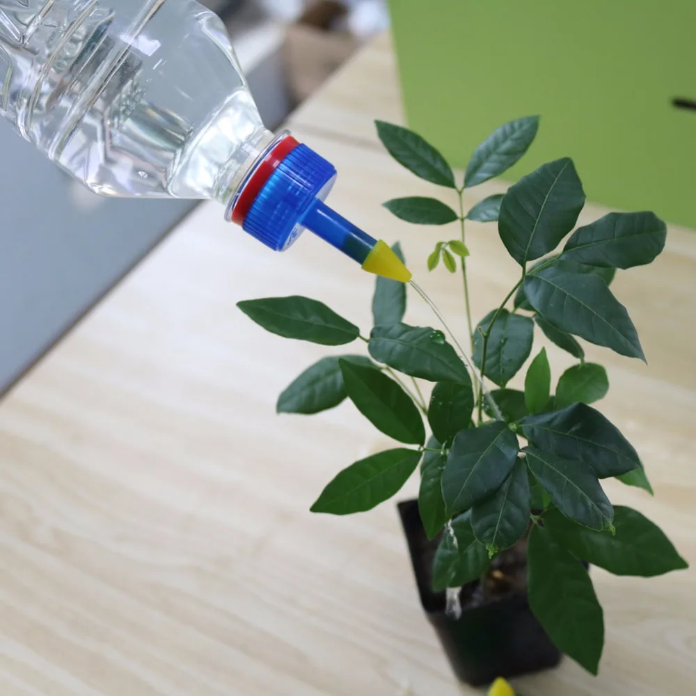 10 шт. пластиковый разбрызгиватель острых точек для суккулентных растений|bottle spray