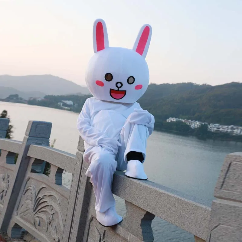 9 Коричневый медведь Кани костюмы талисмана кролика косплей одежда Пасха Рождество Хэллоуин Вечеринка нарядное платье игрушки Аниме куклы - Цвет: 9