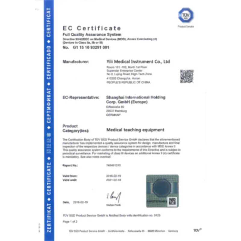 Модель скелета человеческого тела из ПВХ 45 см мини манекен модель OTC Bone