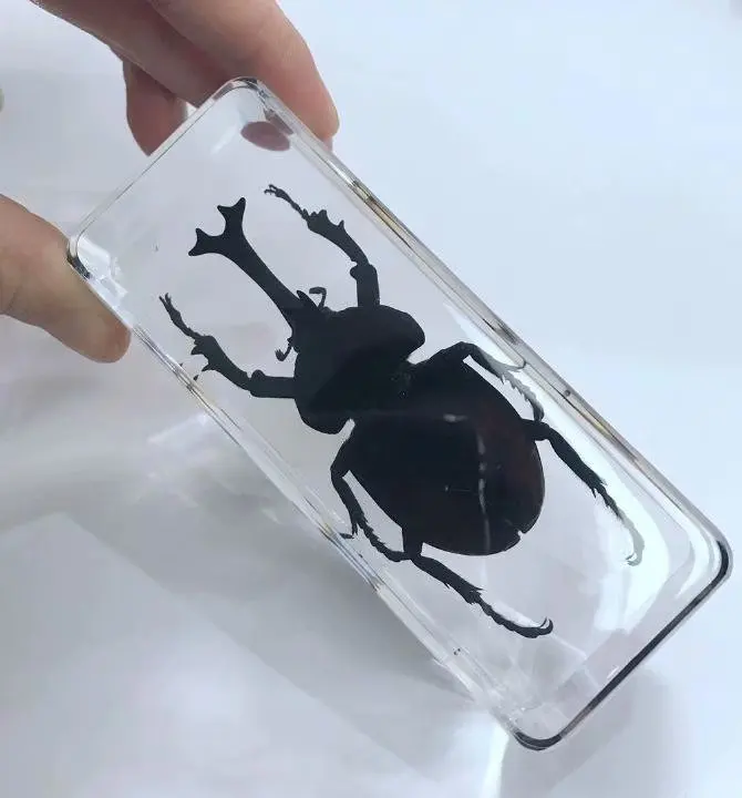 Модные ювелирные изделия большой черный образец искусственные книги