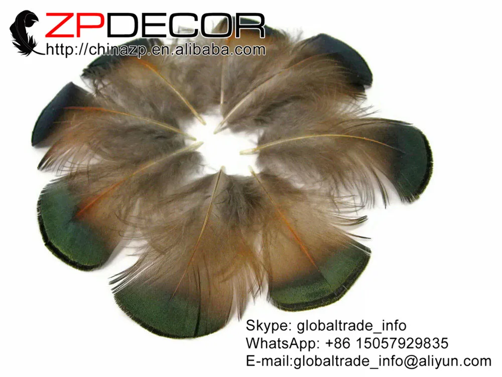 

ZPDECOR 5-8cm 200pieces/lot Special GREEN BRONZE Golden Pheasant Plumage Wholesale Feathers For Costume Accessories