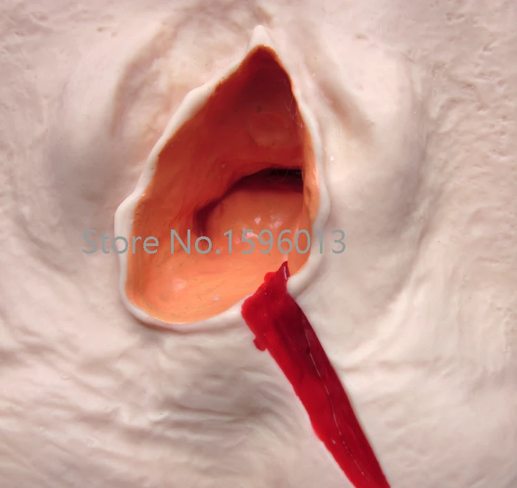 Вульва тренировочный симулятор 3 комплекта тренировочная модель для швов