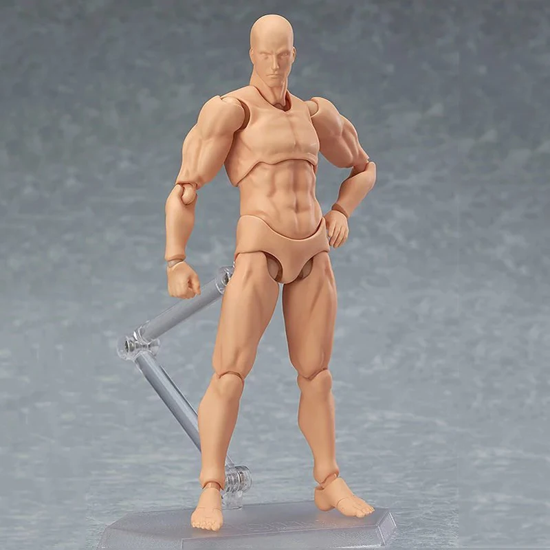 14 5 см Figma Archetype He She ПВХ фигурка человека тела суставов мужской женский телесный