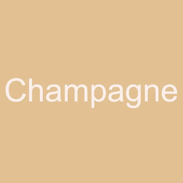 Champagne CHS525/женские шлепанцы на танкетке с кристаллами кораллового цвета на заказ; Свадебная обувь для невесты; женская обувь больших размеров - Цвет: Champagne