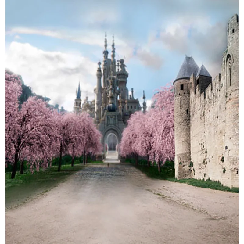 Фотофон Mehofoto с изображением замка улицы фотография фон для фэнтези дня рождения