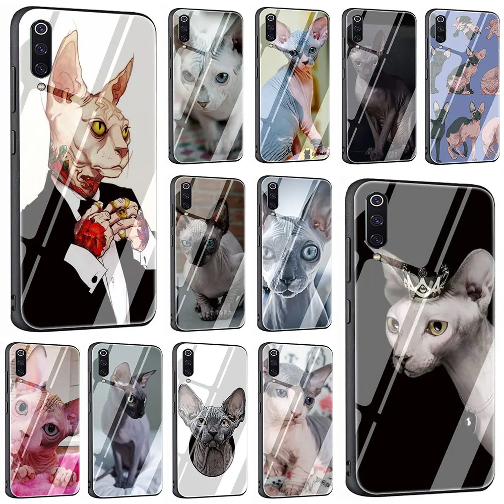 Чехол для телефона из закаленного стекла sphynx cat Xiaomi Mi 8 9 Redmi 4X 6A Note 5 6 7 Pro Pocophone
