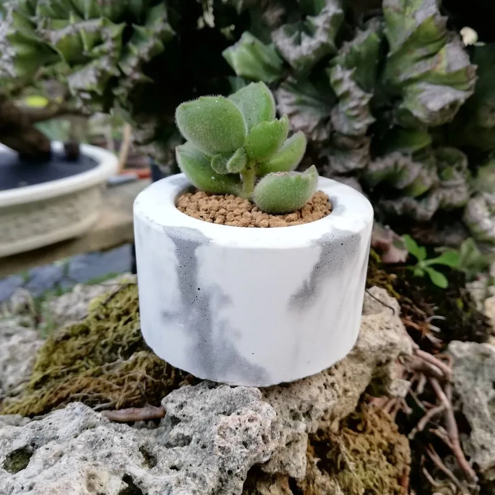 Круглая форма для цветочных горшков силиконовая плантаторов мусса тортов