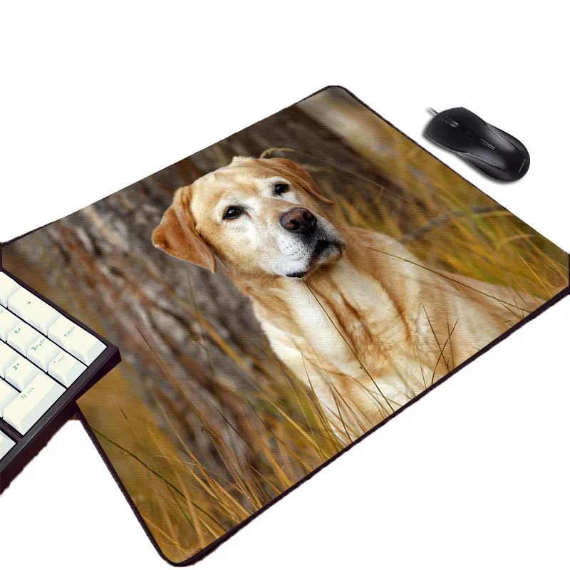 Mairuige креативный фото-узор изображения напечатанные Diy резиновый Pc Comuter игровой коврик для мыши животные для домашних любимцев собак кошек Настольный коврик для мыши Коврик для мыши