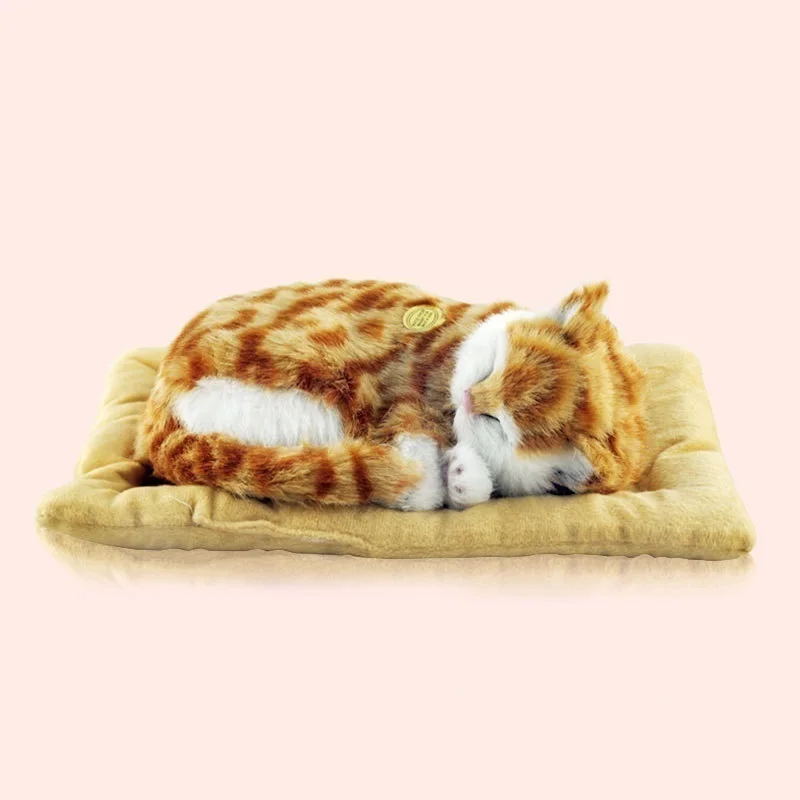 cat sleeping in ball