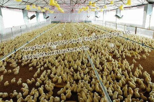 Горячая Распродажа карниз для птицы из стали|poultry|poultry sale |