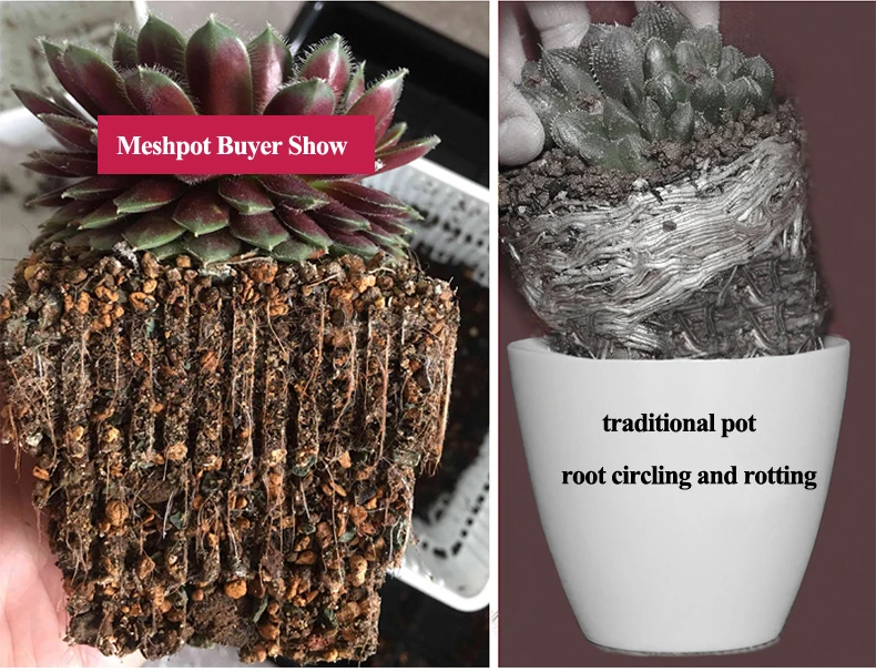 Meshpot 10 ПАК 20 Пак горшок для суккулента пластиковый цветочный горшок контейнер для саженцев Детские принадлежности внутренний диаметр. 6 см/7 см