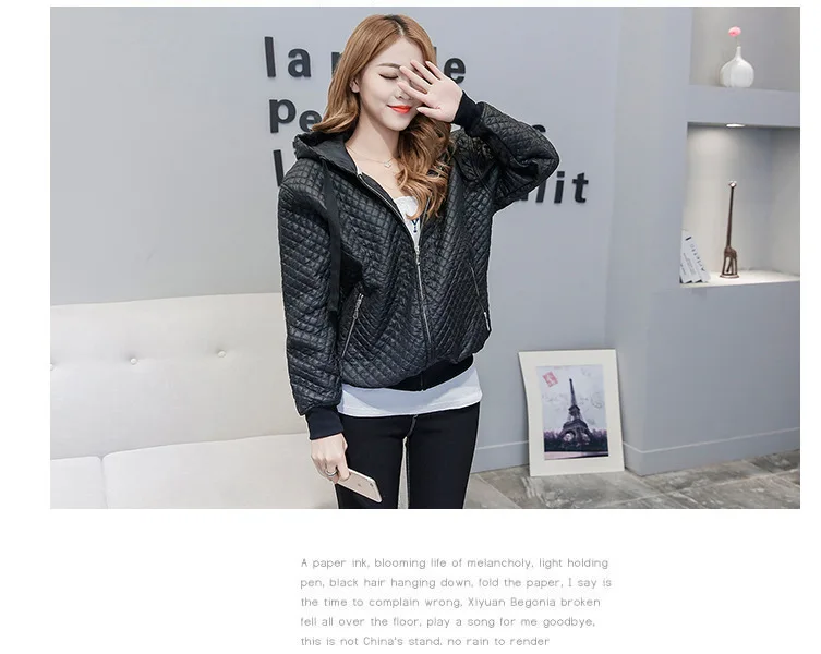 2017 весеннее Новое уличное пальто парки куртка-бомбер Женское крутая Базовая