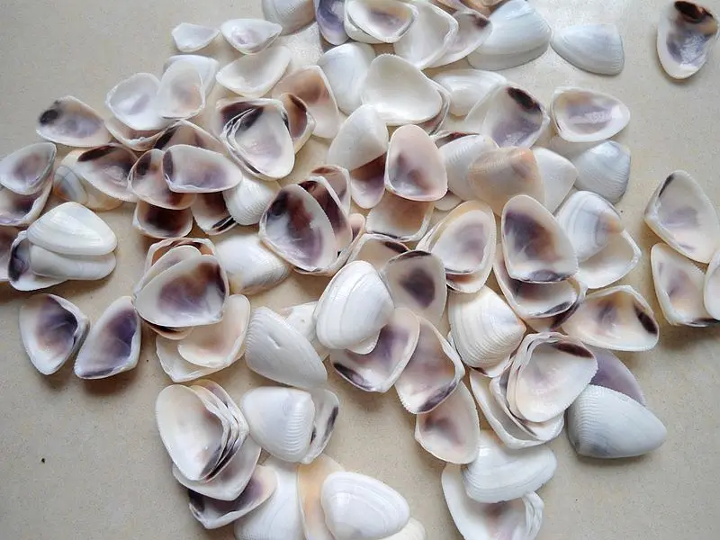 HappyKiss Коралловая Настенная Наклейка в виде ракушек из морских украшение