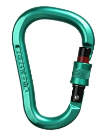 MintGreen Screw-Lock Xinda Профессиональный безопасный скалолазание карабин 25KN алюминиевый сплав высокая прочность Кемпинг изогнутый полюс замок наружное оборудование - Цвет: MintGreen Screw-Lock