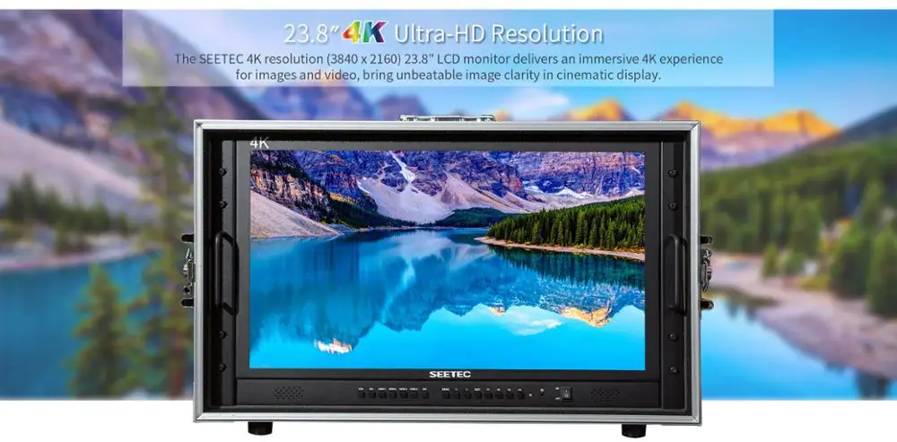 SEETEC 4K238-9HSD-CO 23,8 ''4 K Ultra HD 3840x2160 профессиональная трансляция директор монитор Carry on lcd ips экран с HDMI