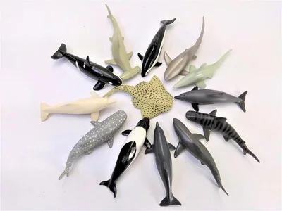 

1 Набор, игрушка, животное, Φ, 7 см, морская жизнь (акула, Кит). Изучение океанских животных. Резиновый подарок. Украшение для рыбной чаши d11