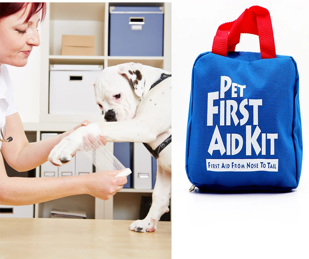 Empty Pets Essential First Aid Kit Medical Emergency Bag Camping Hiking | Спорт и развлечения
