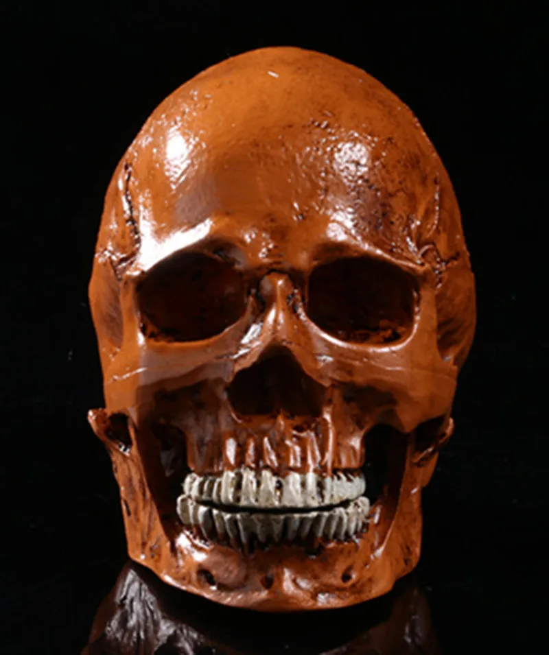 Бесплатная доставка Хэллоуин игрушки Моделирование человеческий череп