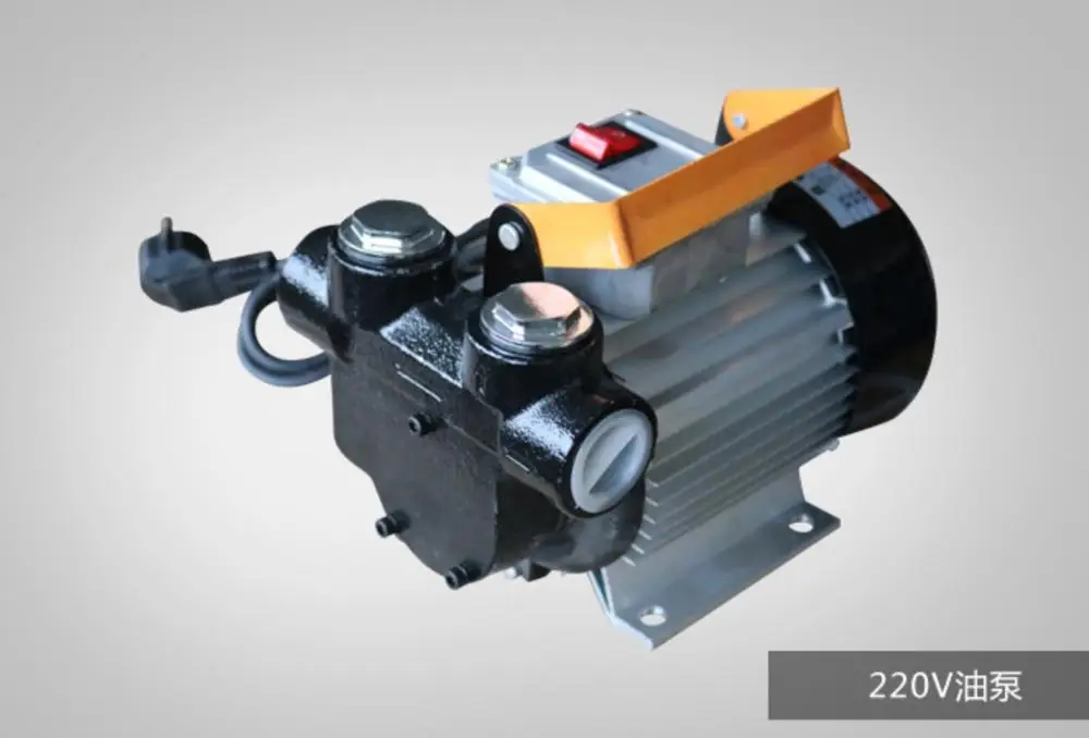 220 В DC 24 V/12 V/220 V масляный насос 550W большой поток 60~ 70 л/мин насос для дизельного масла Электрический масляный насос - Напряжение: 220 В
