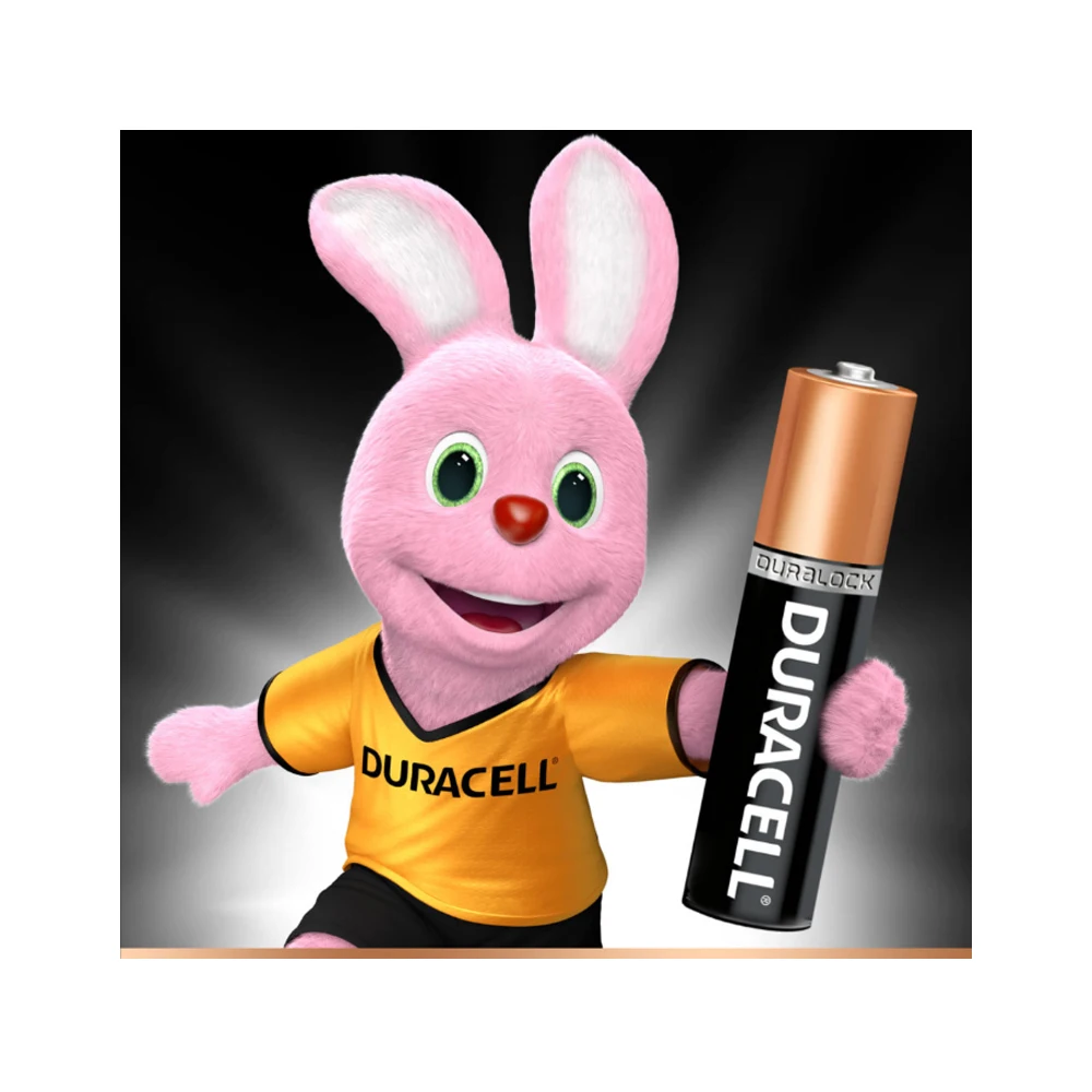 Батарея Duracell Basic LR03 12BL AAA (12шт)|Цифровые аккумуляторы| |