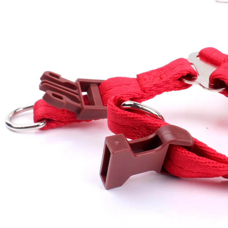 2016 Limited Горячие Продажа Твердые Собак Перро Ошейник Pet тягового Каната Жгут Тедди