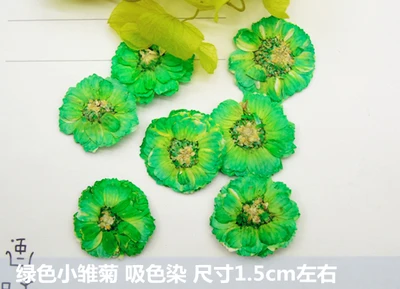 120 шт. Бесплатная доставка прессованный цветок высушенный натуральные цветы DIY