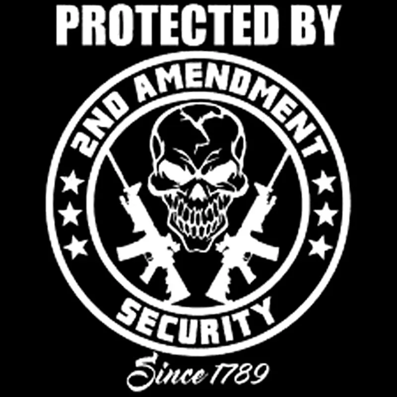 Защищено второй поправкой наклейка виниловая декаль для дома, автомобиля с ружьем черного/серебряного цвета размером 12,5 х 15,5 см C8-0268.