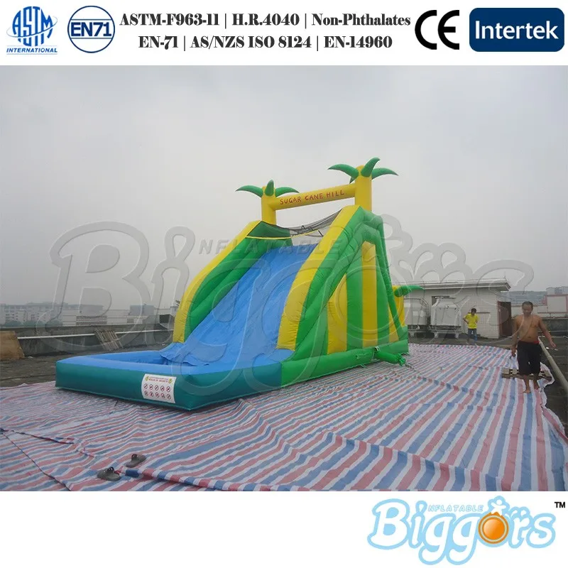 

Commercial Inflatable Slide inflatable Jungle Slide with Water Pool