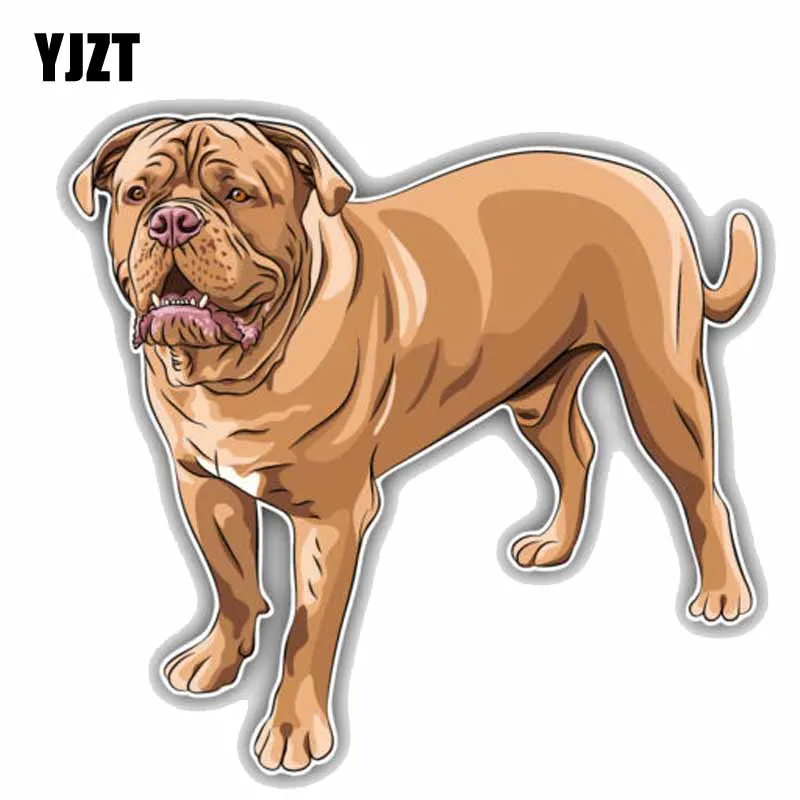 YJZT автомобильный бампер для французской собаки Размер 15 см x 14 3 см|car sticker|car decoration