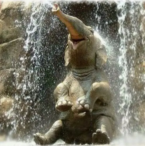 

5D DIY Diamond Painting"animal"Full Square Rhinestones,Diamond Embroidery Mosaic Elephant water Patterns Cross Stitch Home Decor
