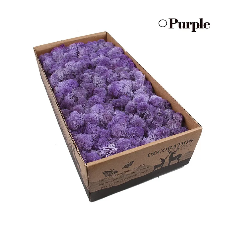 Purple 500 г, сделай сам, нескончаемый мох, 24 цвета, натуральный настоящий мох, декоративный цветок для дома, сада, вечерние, свадебные декорации - Цвет: Purple