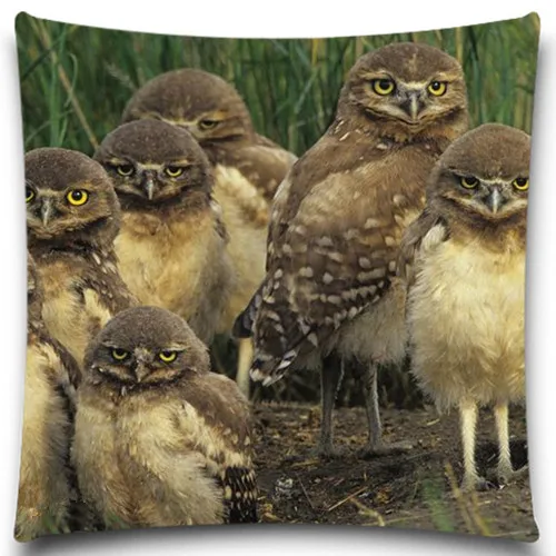 Животных птиц выгодное предложение 2016 наволочка площади сова Чехлы декоративная