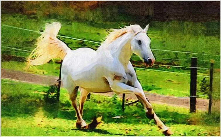 3D Diamond Painting full square drill home decoration Cross Stitch Embroidery fabric needlework white horse animal B403 | Дом и сад