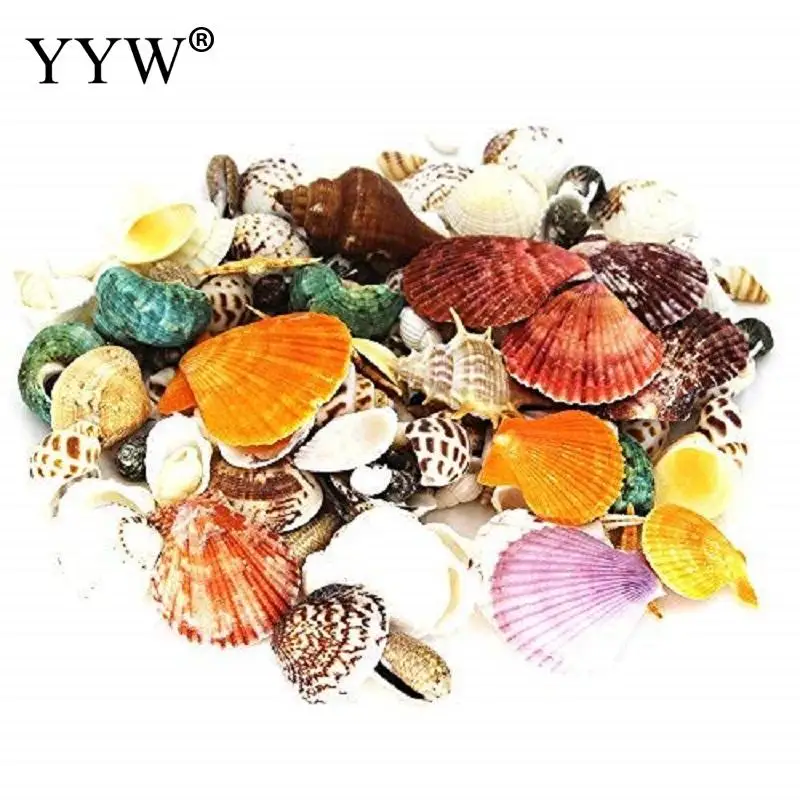 150 шт./лот бусины из морских ракушек звезд племенные украшения аксессуары для