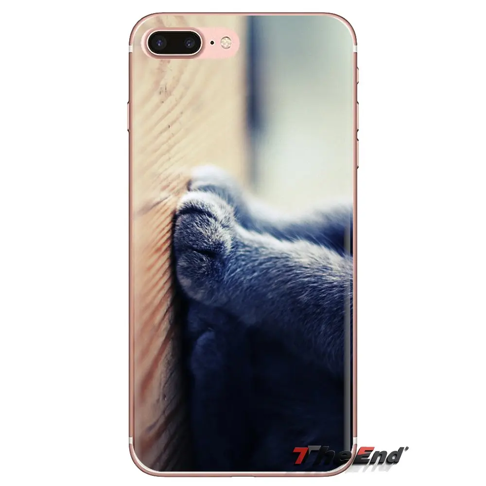 Soft TPU Cover For Xiaomi Mi3 Samsung A10 A30 A40 A50 A60 A70 Galaxy S2 Note 2 Grand Core Prime Cat claw animal Art Poster Print |