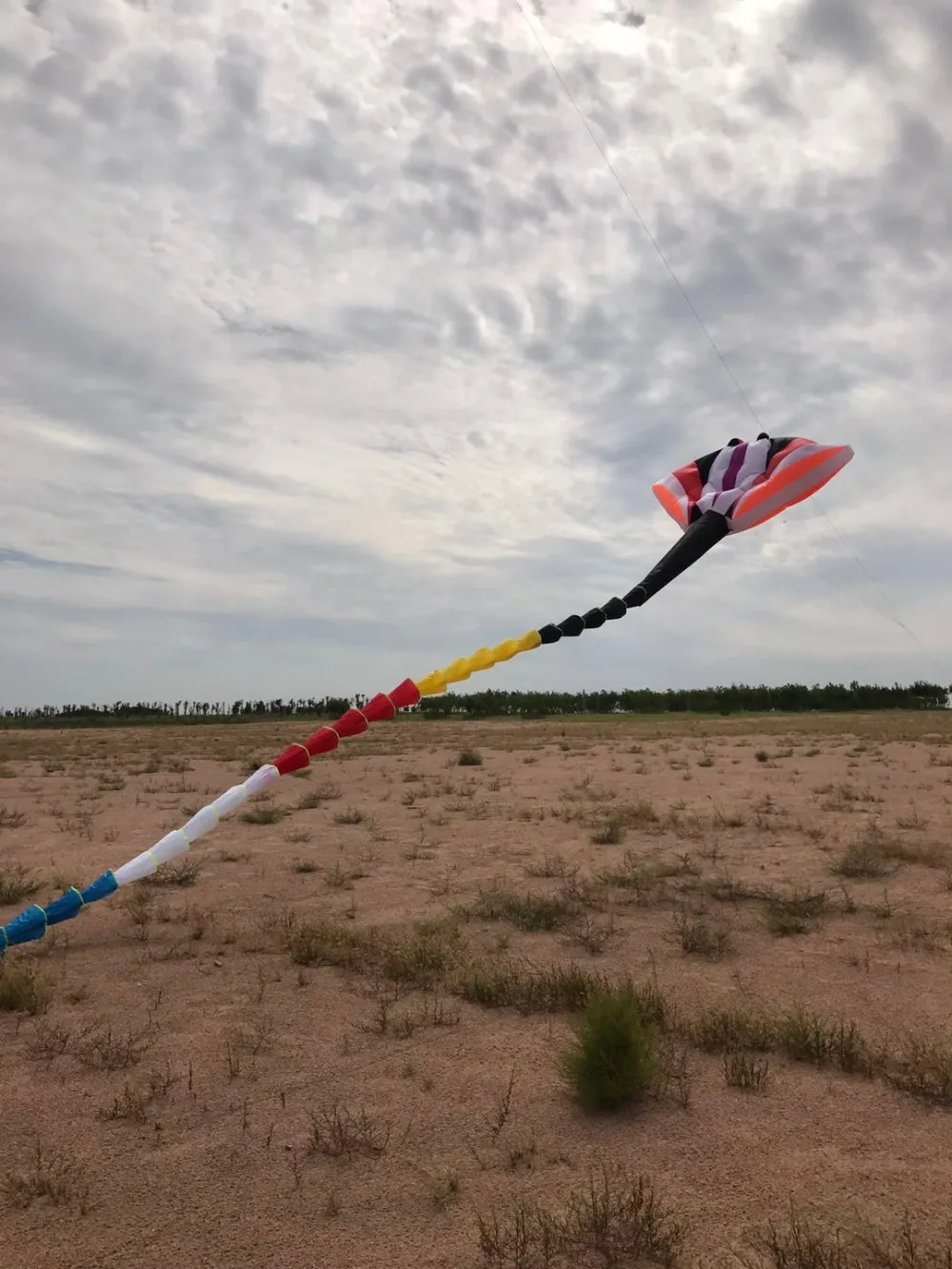 

New 15M 20M power software rays kite / kite pendant competition kite