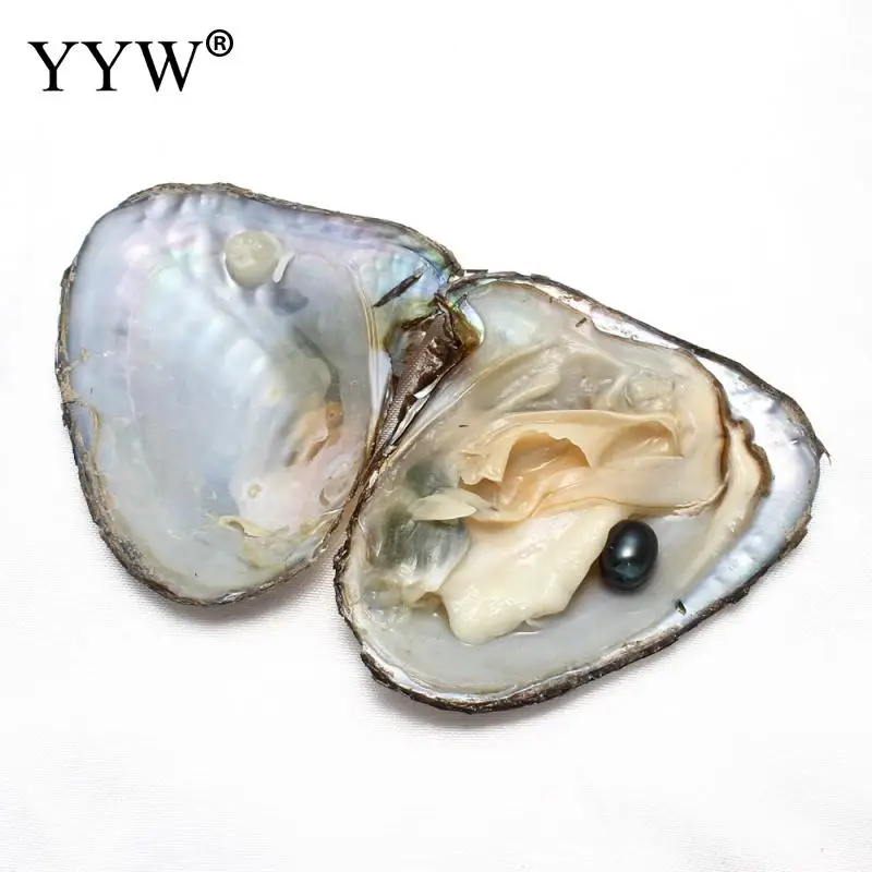 Пресноводная культивированная жемчужина Love Wish Oyster вакуумная упаковка риса 8 9 мм