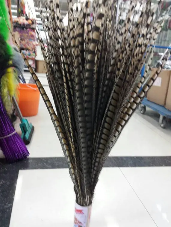 10 шт. высококачественные оригинальные натуральные женские перышки Amher pheasant 4-44