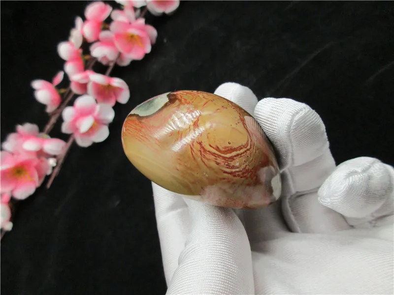 Природный энергетический камень морской древний образец горной породы