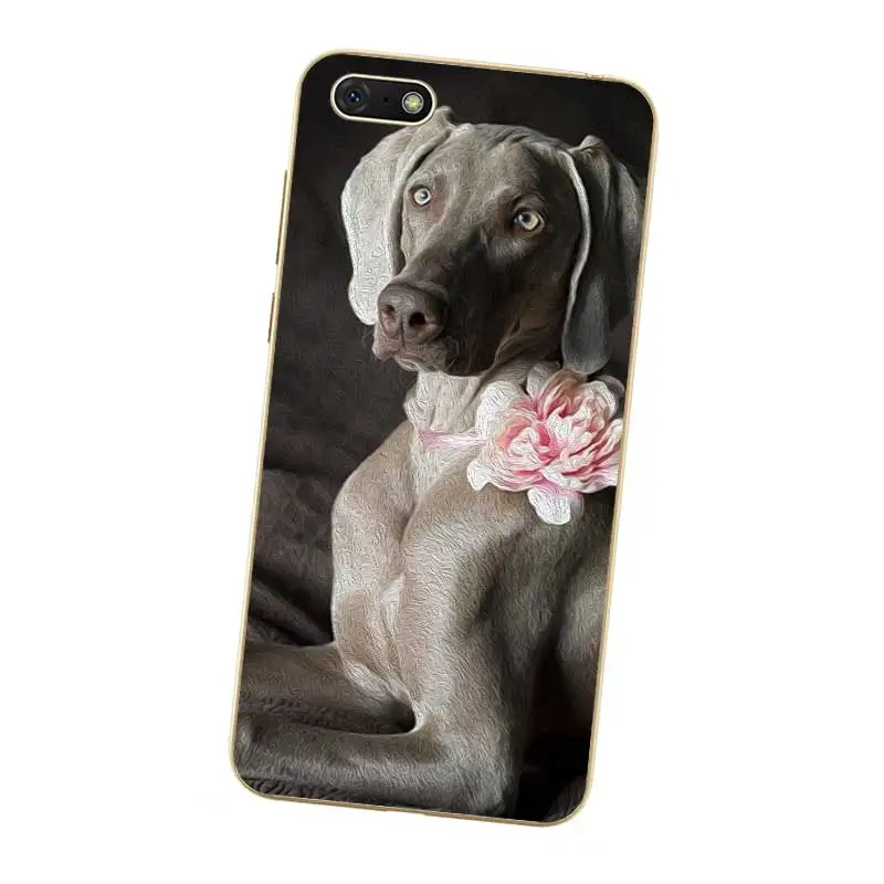 N464 Weimaraner Cute Soft TPU Silicone Case Cover For Huawei Honor 6A 6C 6X 7A 7C 7S 7X 8 Lite Pro |