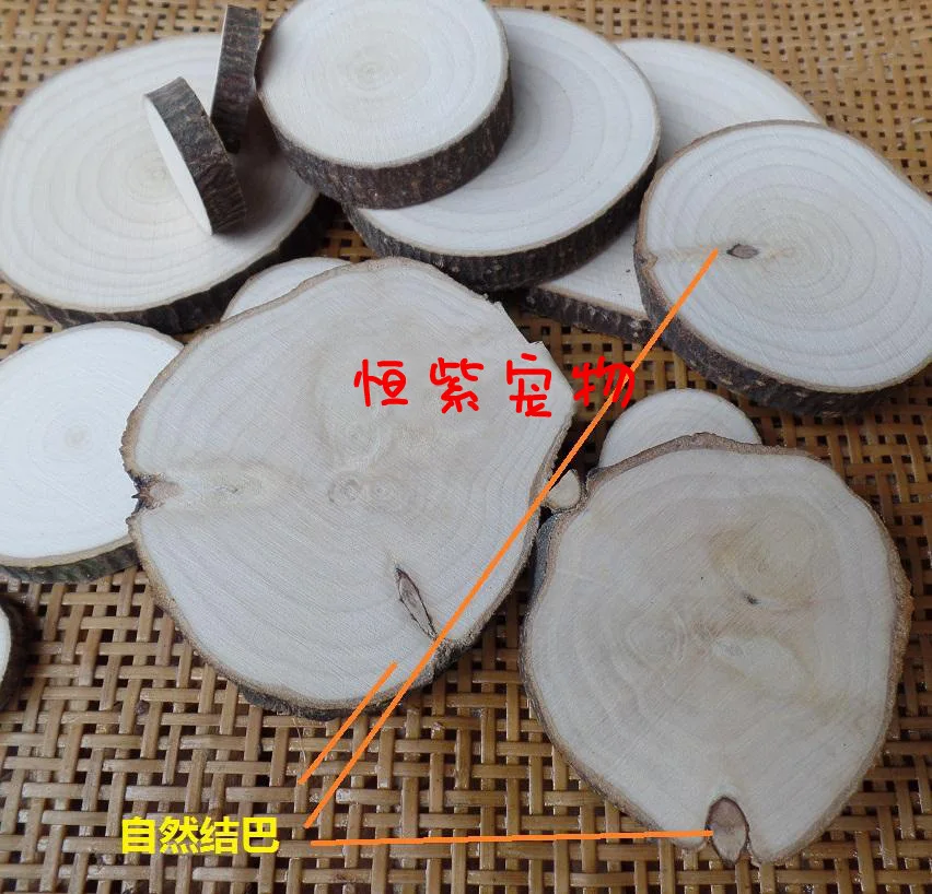 Деревянная подставка для попугаев Весенняя клетка из натурального дерева