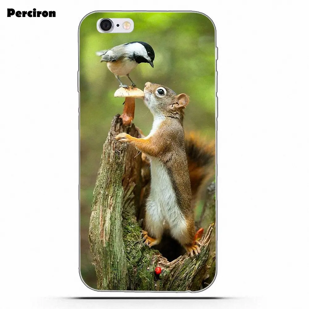 as picture Perciron Squirrel Soft TPU Print Cover Case For Xiaomi Redmi Note 2 3 3S 4 4A 4X 5 5A 6 6A Pro Plus - Цвет: as picture