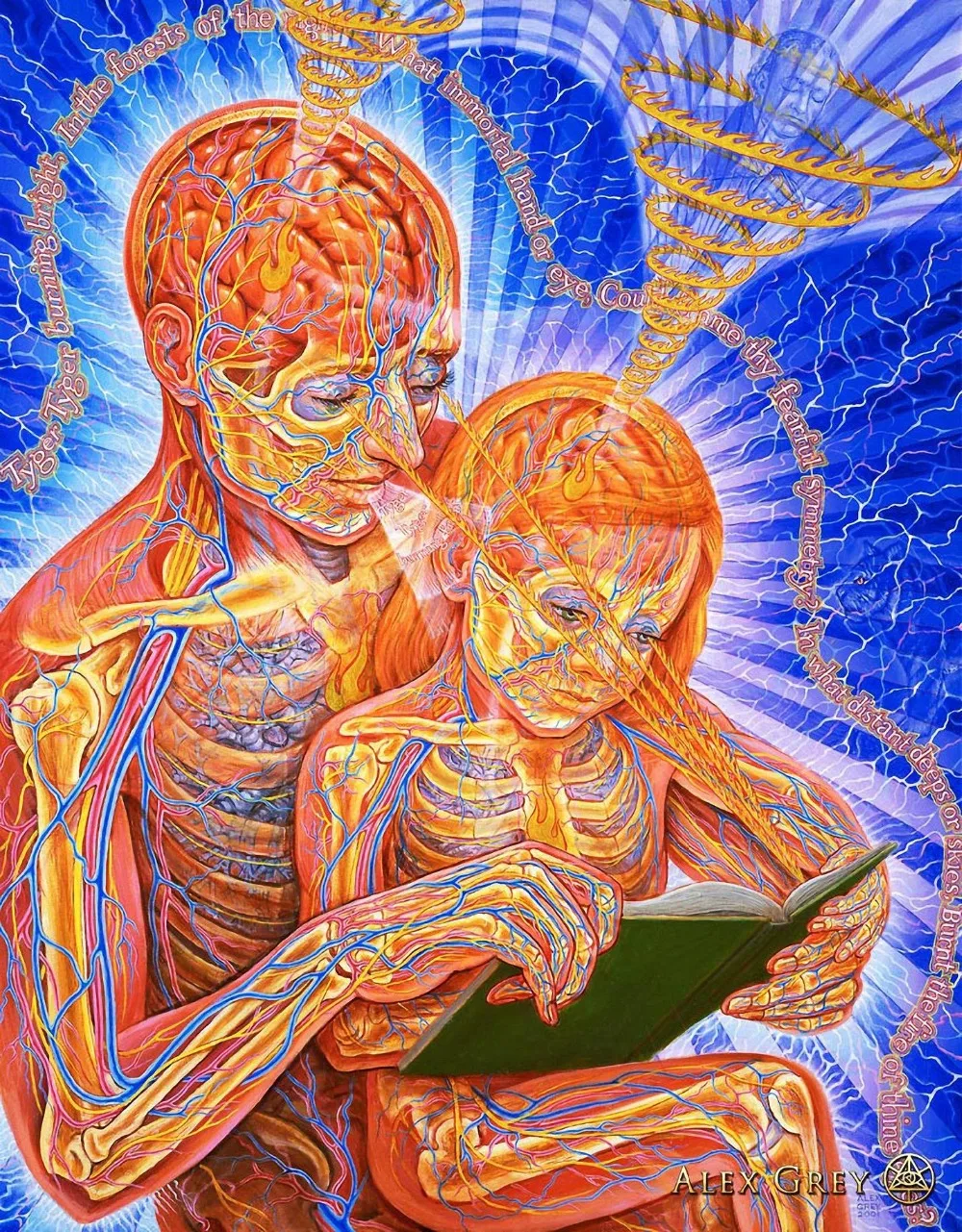Горячая Распродажа Custom Alex Grey Oversoul плакат новые красивые принты высокое качество