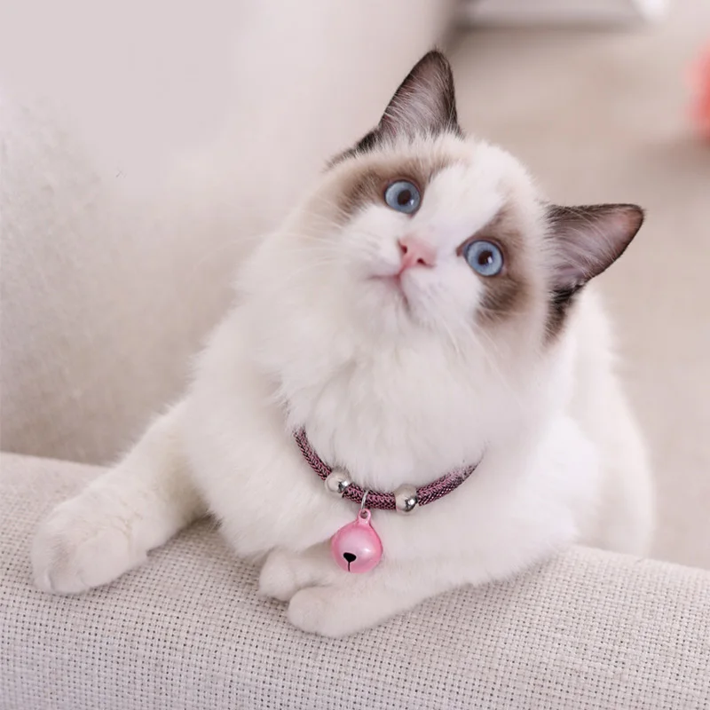 Hot Sale Cat Collar Necklace Lovely Pet Puppy Chain Adjustable Personalized Fashion Bell Accessories | Дом и сад